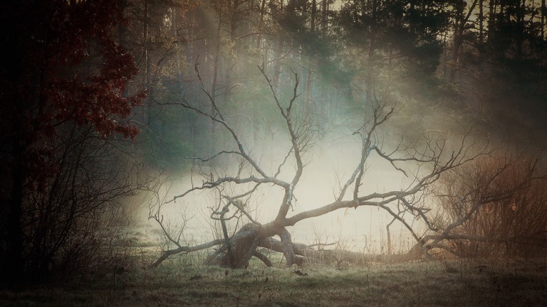 Посватанный Автор-2... Музыка молчания