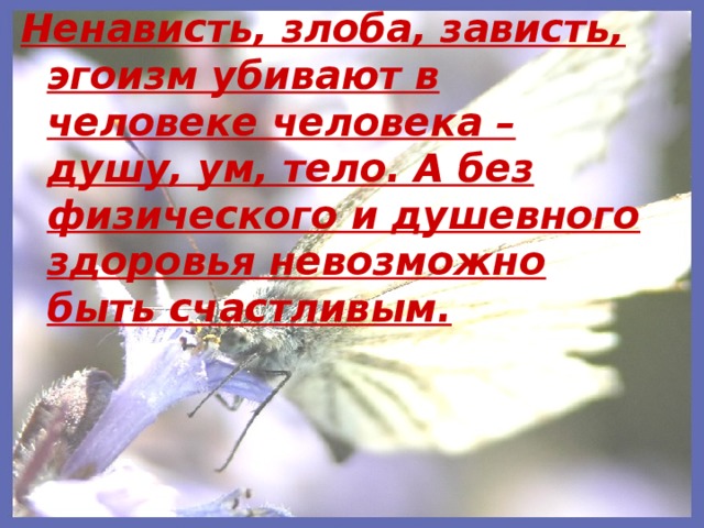 Трагическая судьба имени Авель: что оно скрывает и почему его боятся давать детям