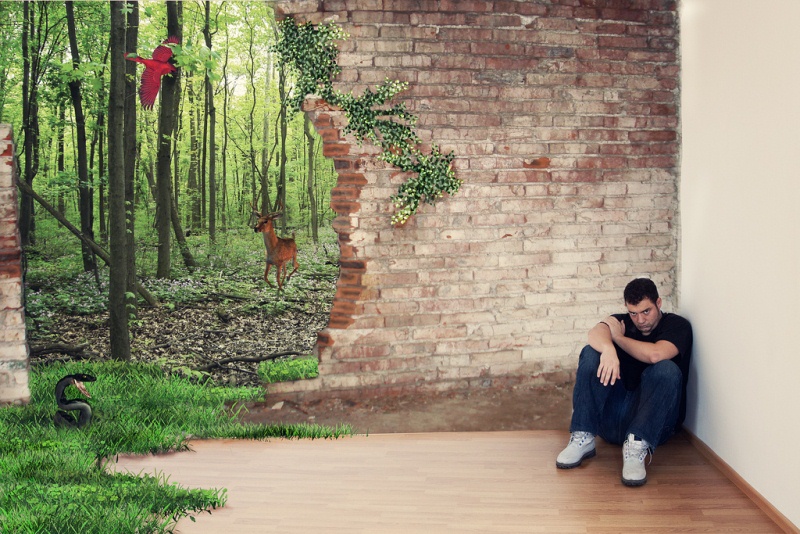 Живём и умираем в иллюзиях