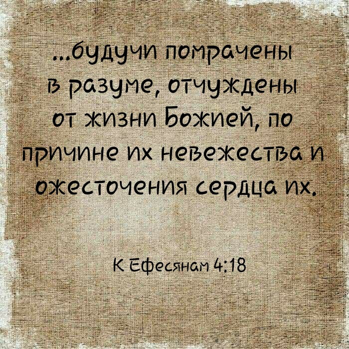 Жить, словно доме сумасшедшем...