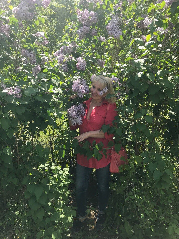 Сирень прекрасная цветёт. Посвящение С. Т. 10991