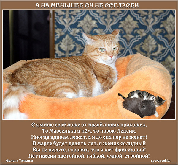 А на меньшее он не согласен