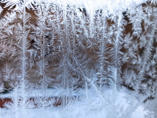 Они кружевных не увидят этюдов...