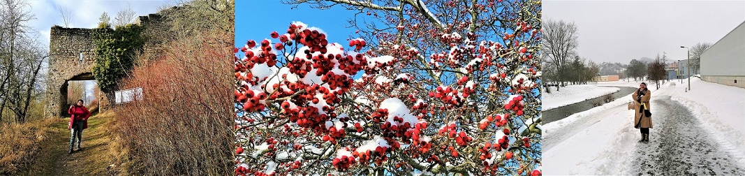 Wahrnehmungsfaehigkeit