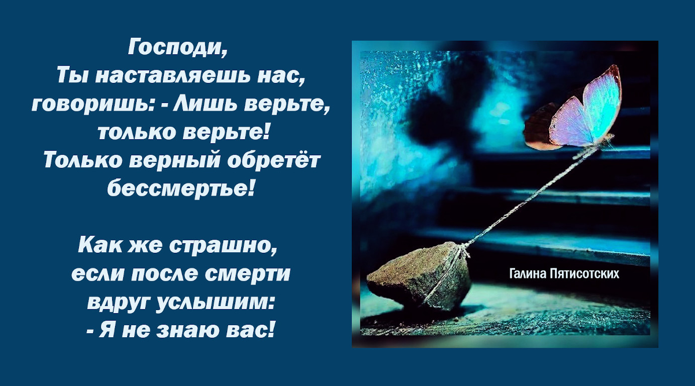 То грешим, то над грехами плачем