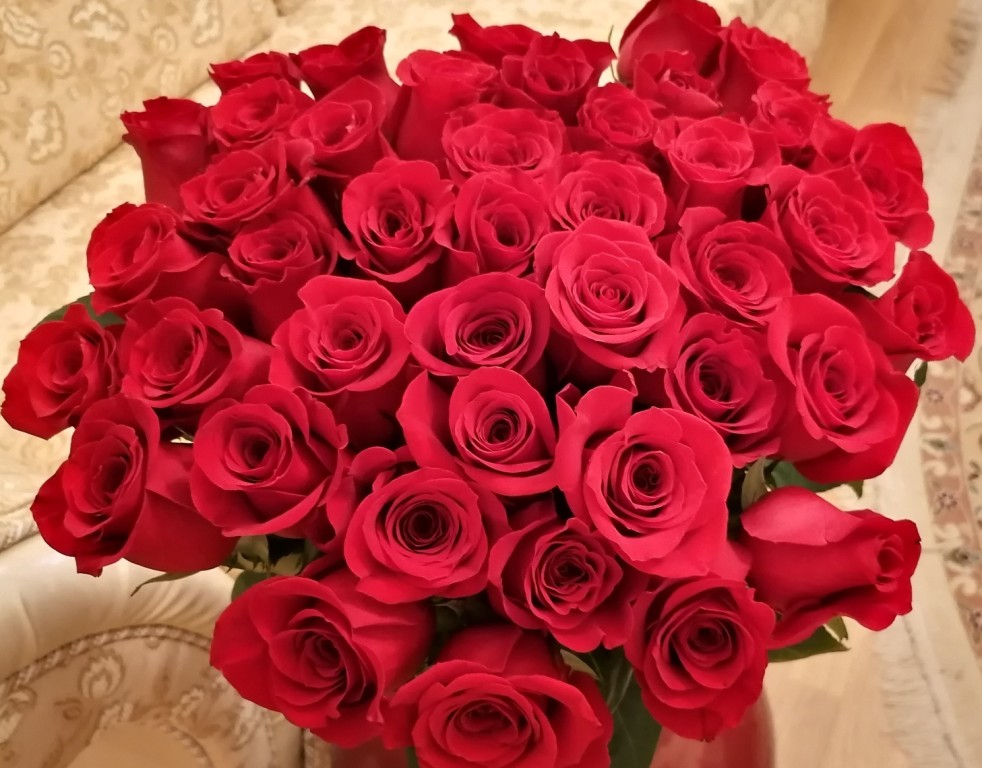 Богу поклон за любовь и за свет