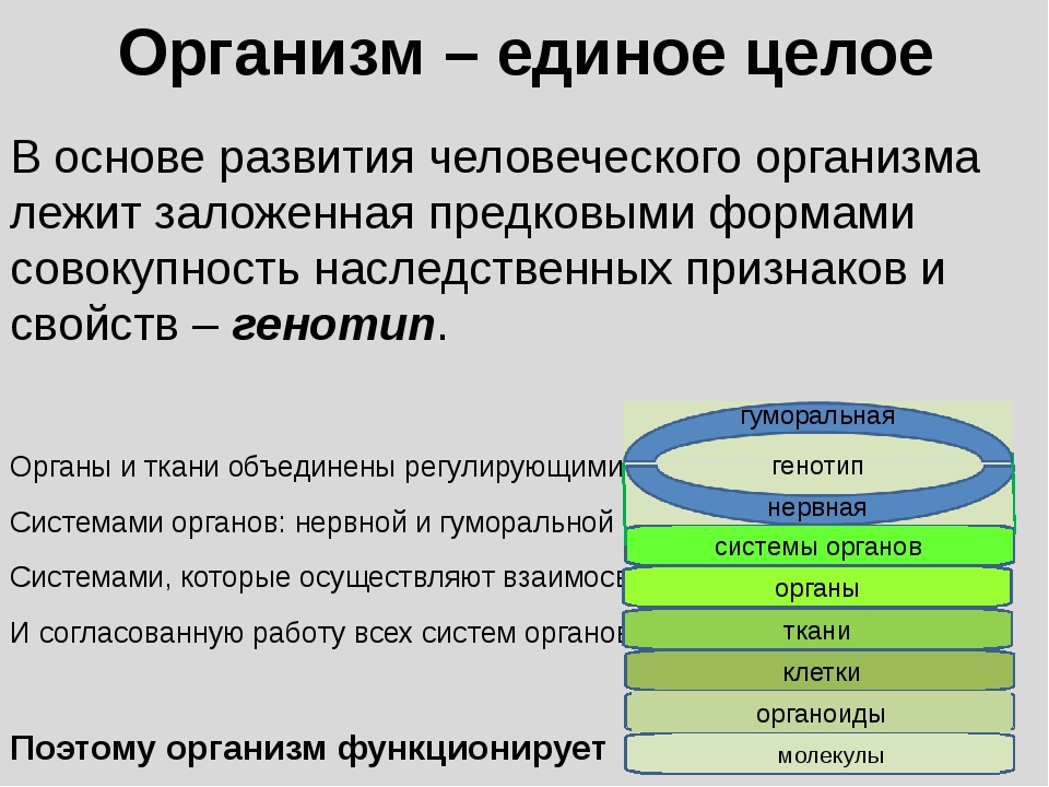 Концепции субстанции в философии. Виды популяций. Компьютер монитор клавиатура мышь системный блок колонки. Каким должен быть заголовок текста. Провод витой пары вид сбоку.