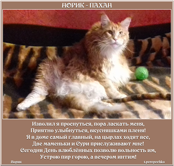 Норик - пахан