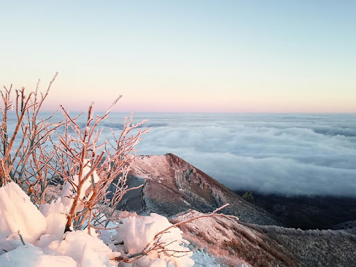 Мне говорит, что понял сам...