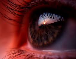 Любимые глаза