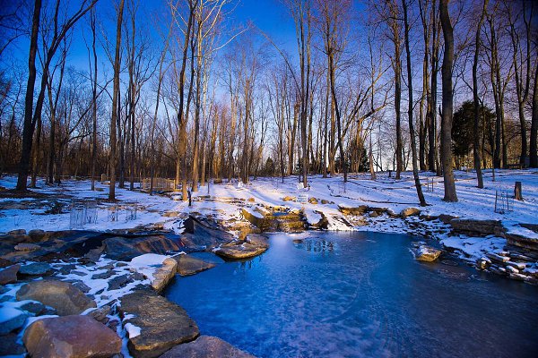 Вы уже ощутили дыханье весны?