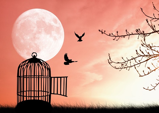 Работник света, предатель тьмы-