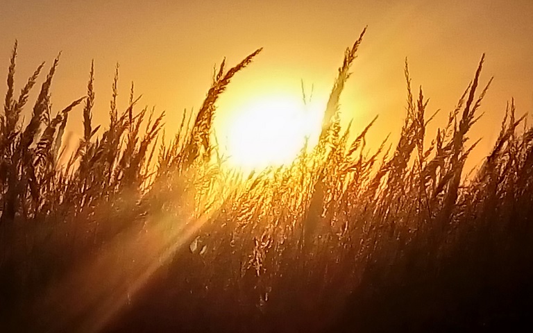 Полуденный зной