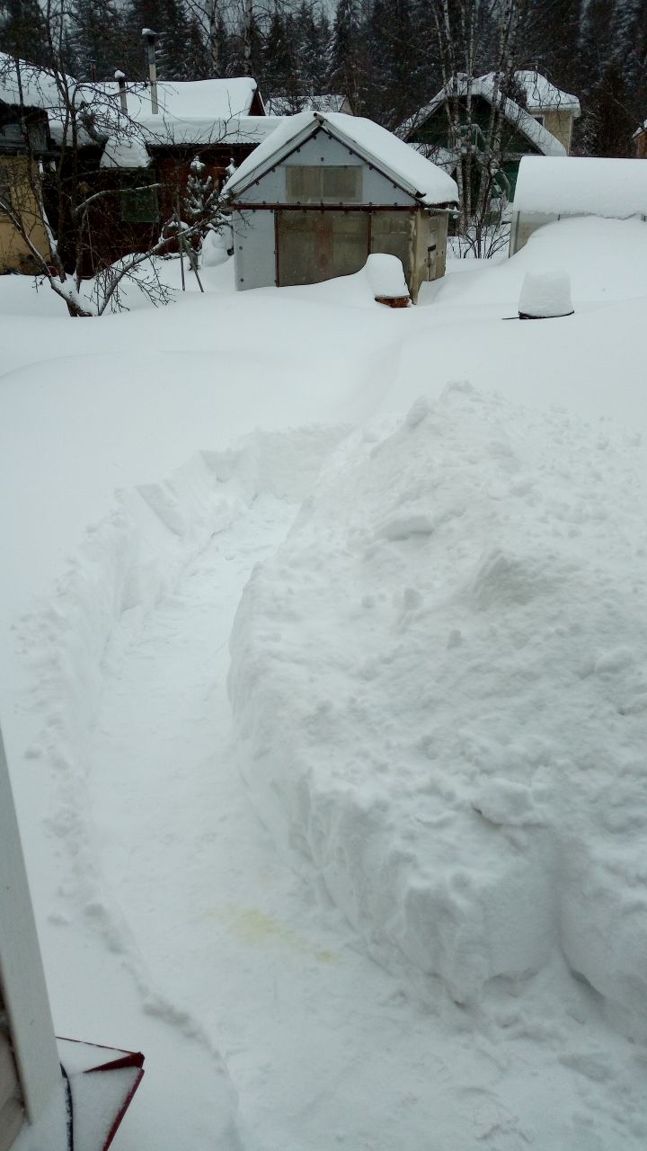 Зарисовка 72