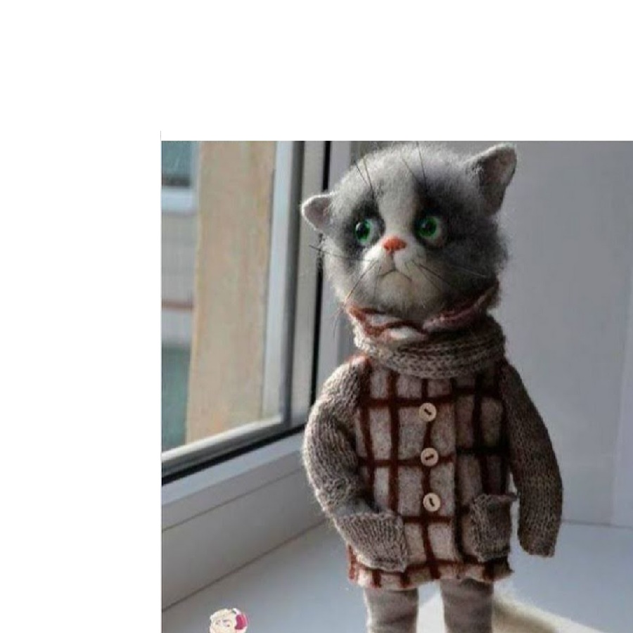 Кот в пальто