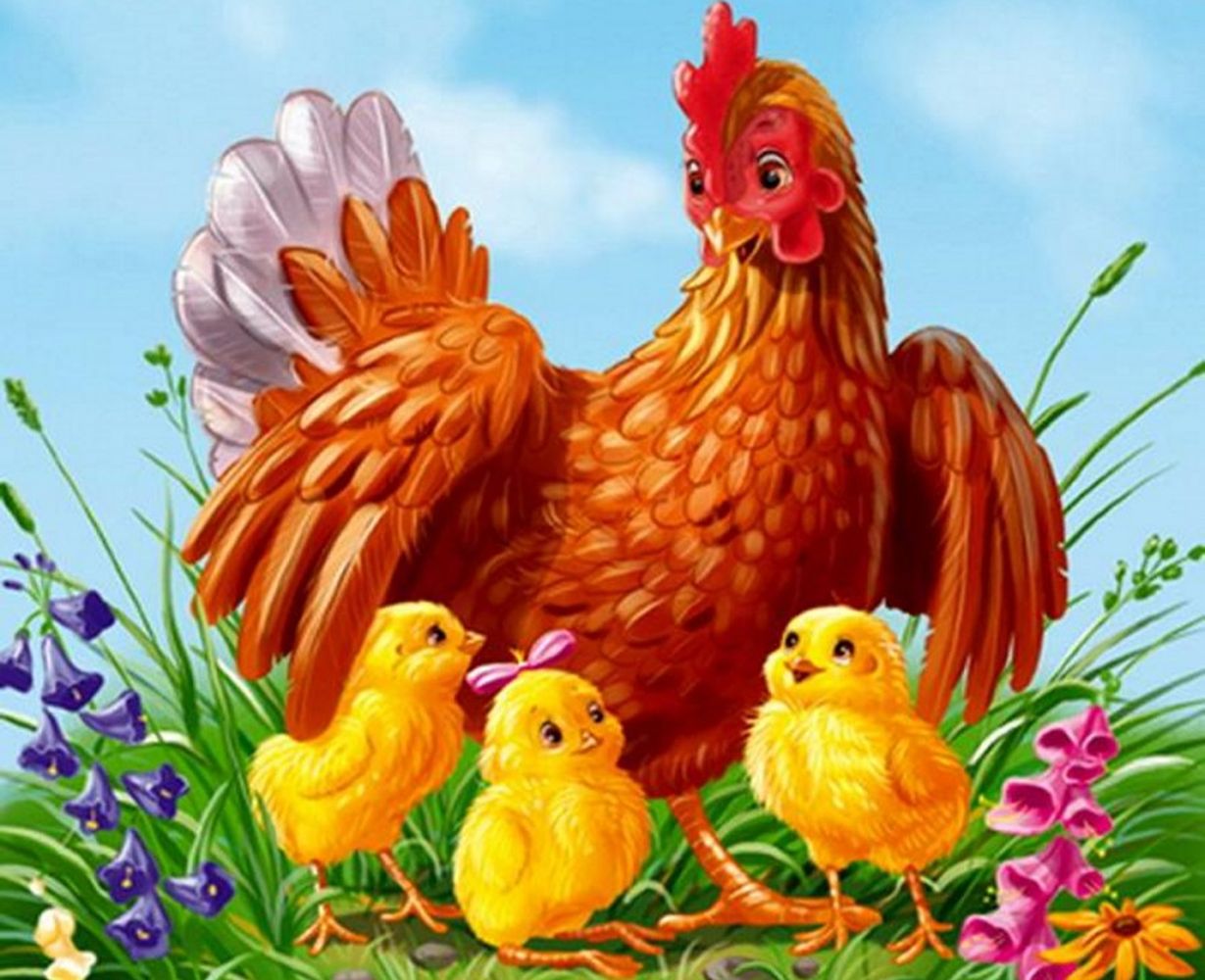 Курицы картинки для детей