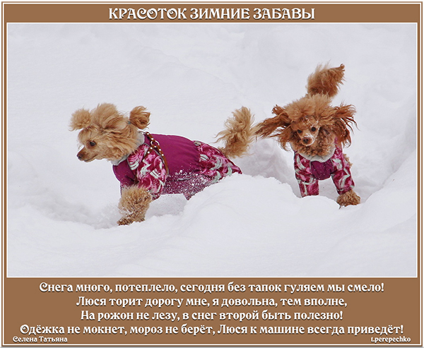 Красоток зимние забавы