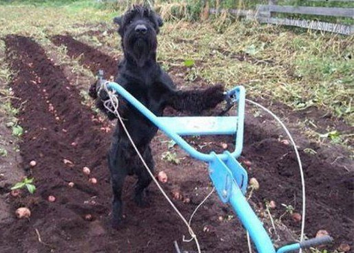 Доигралась