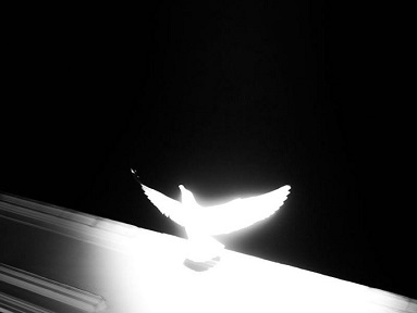 Метеорологическое