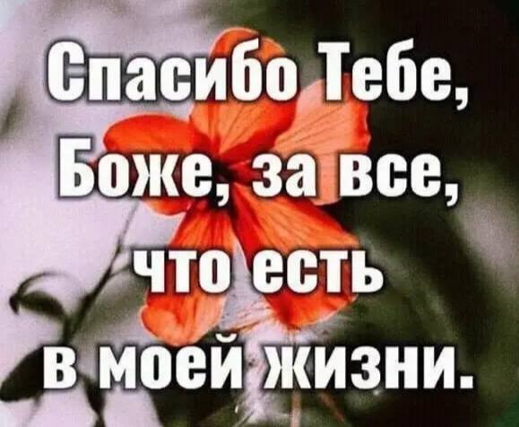 Спасибо, Боже... (Елена Краснова 7) / Стихи.ру