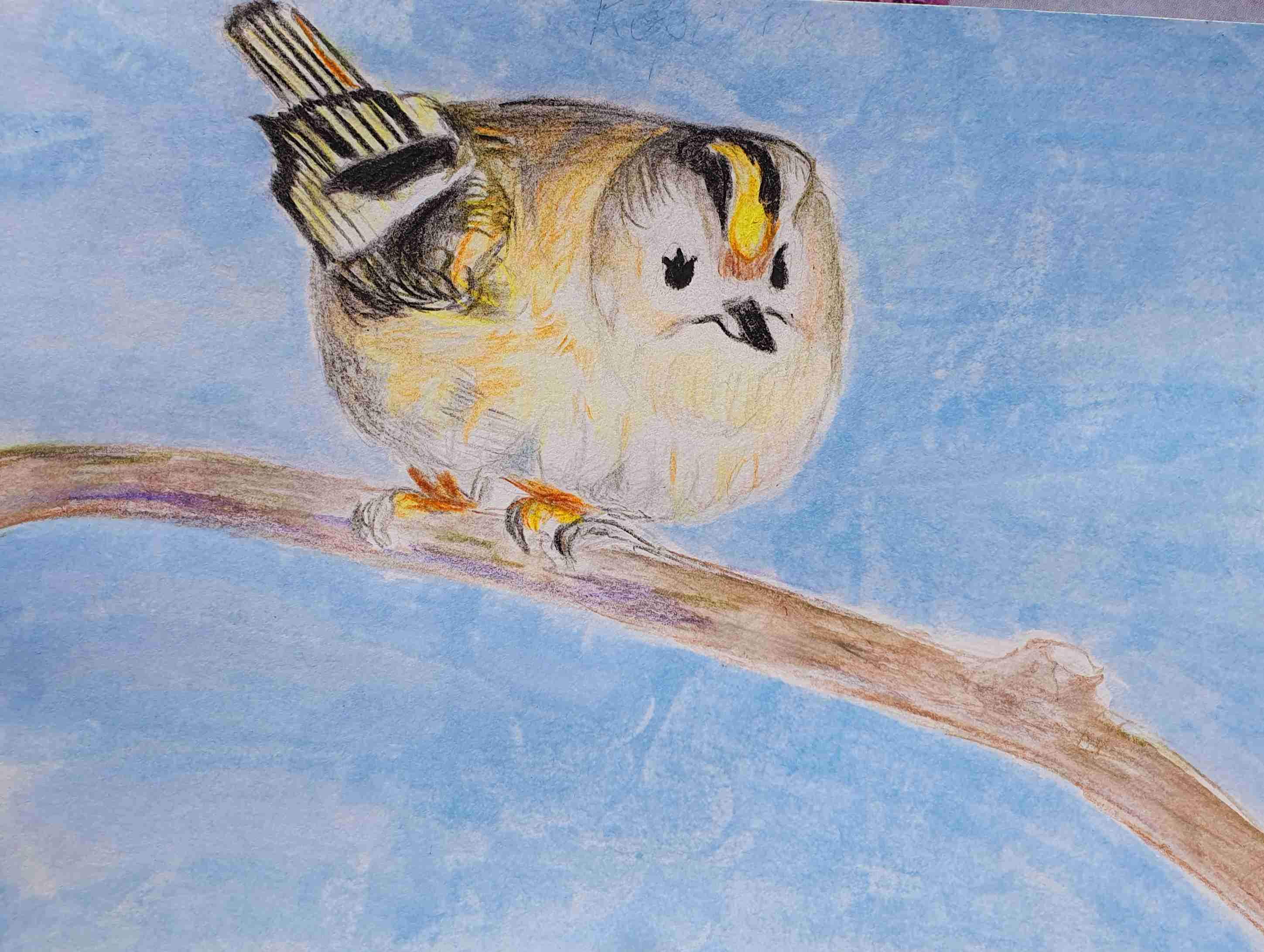Королёк