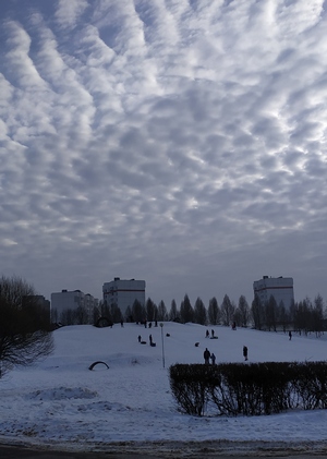 Добрый Снег