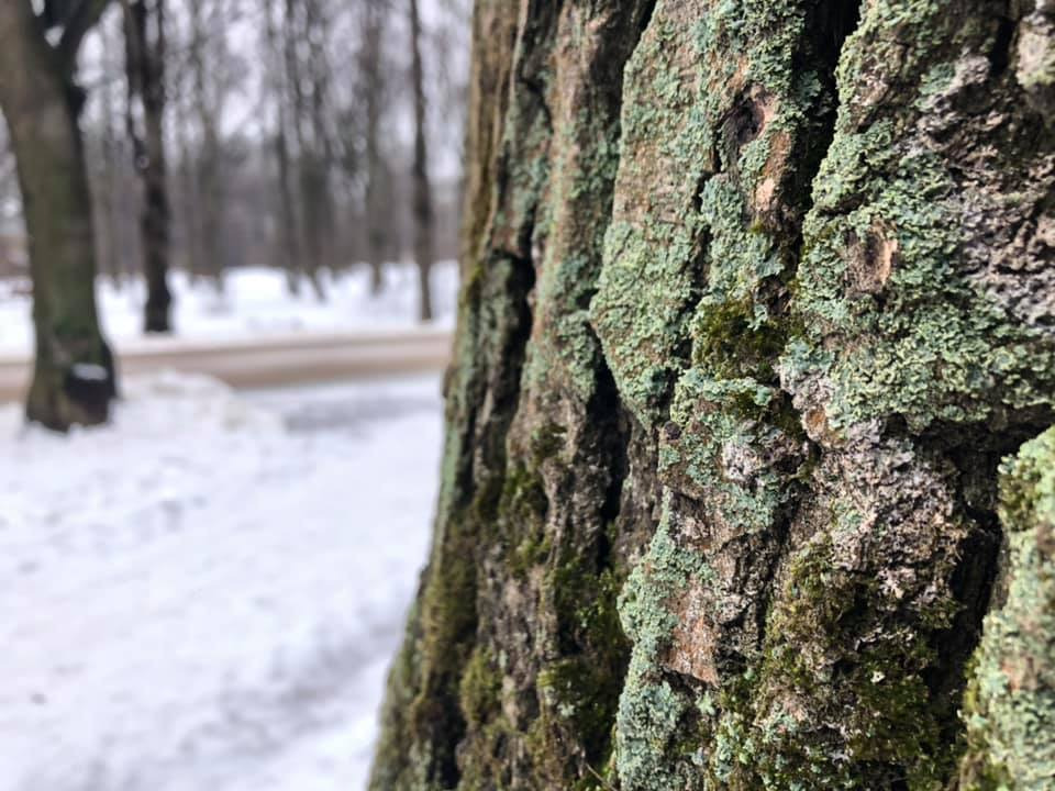 Скоро весна