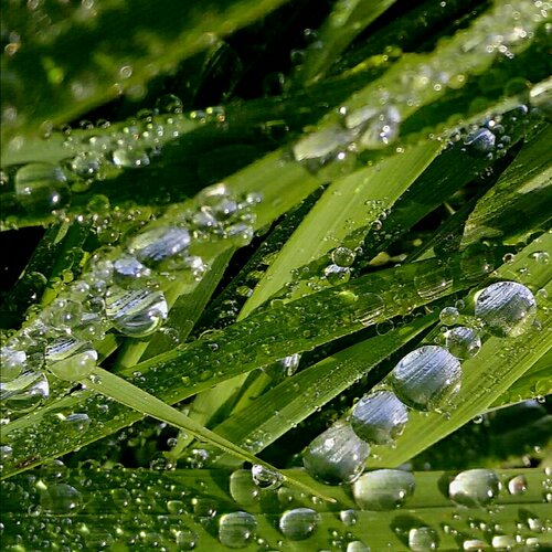 Кто видит красоту снежинки