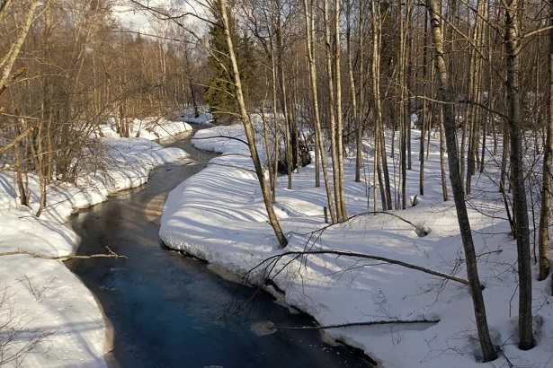 Милый февраль