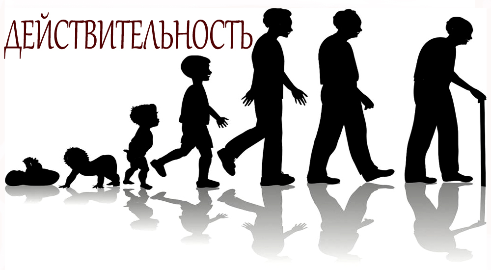 Периоды жизни