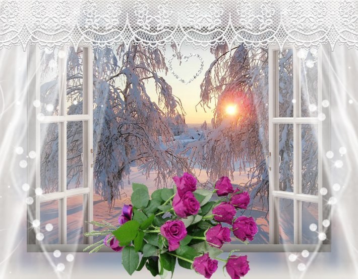 Новый день в мое окно. Зимнее окно. Цветы на зимнем окне. Весенние цветы на зимнем окне.