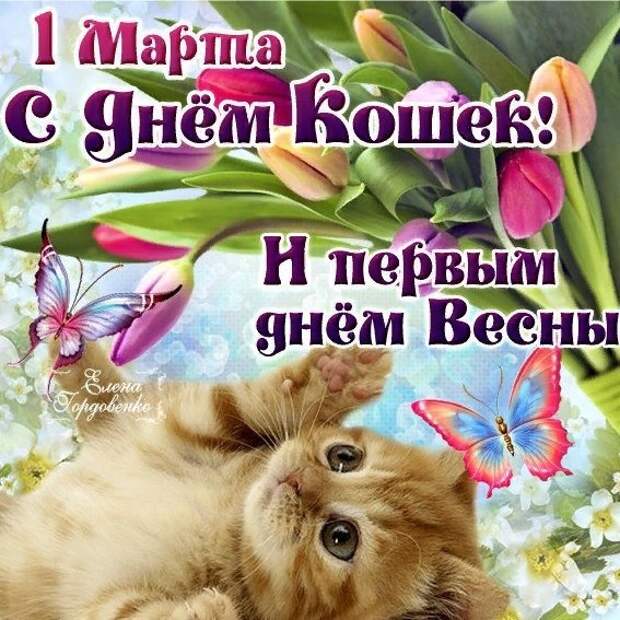 День Кошек - Март!!!