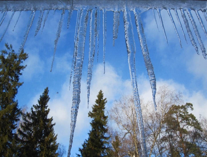 Февраль-поэт