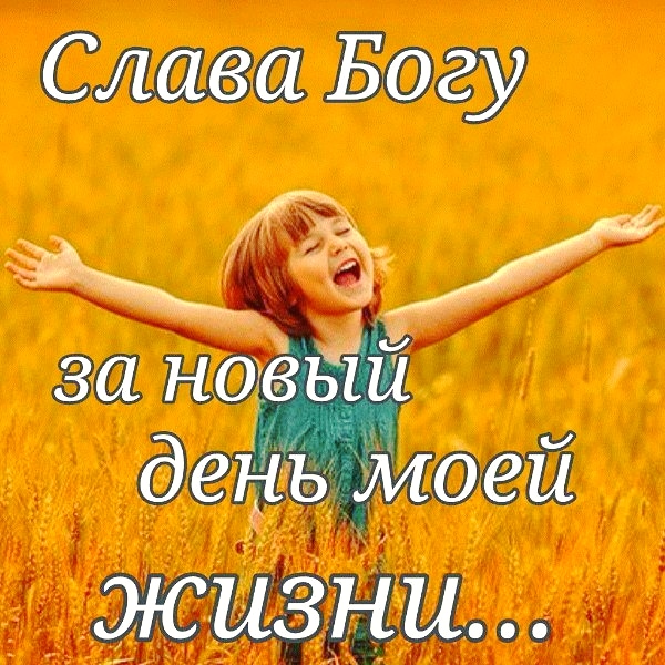 День, в котором ты живёшь (Николай Шабанов) / Стихи.ру