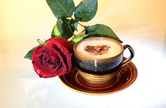 Аромат цветка и кофе
