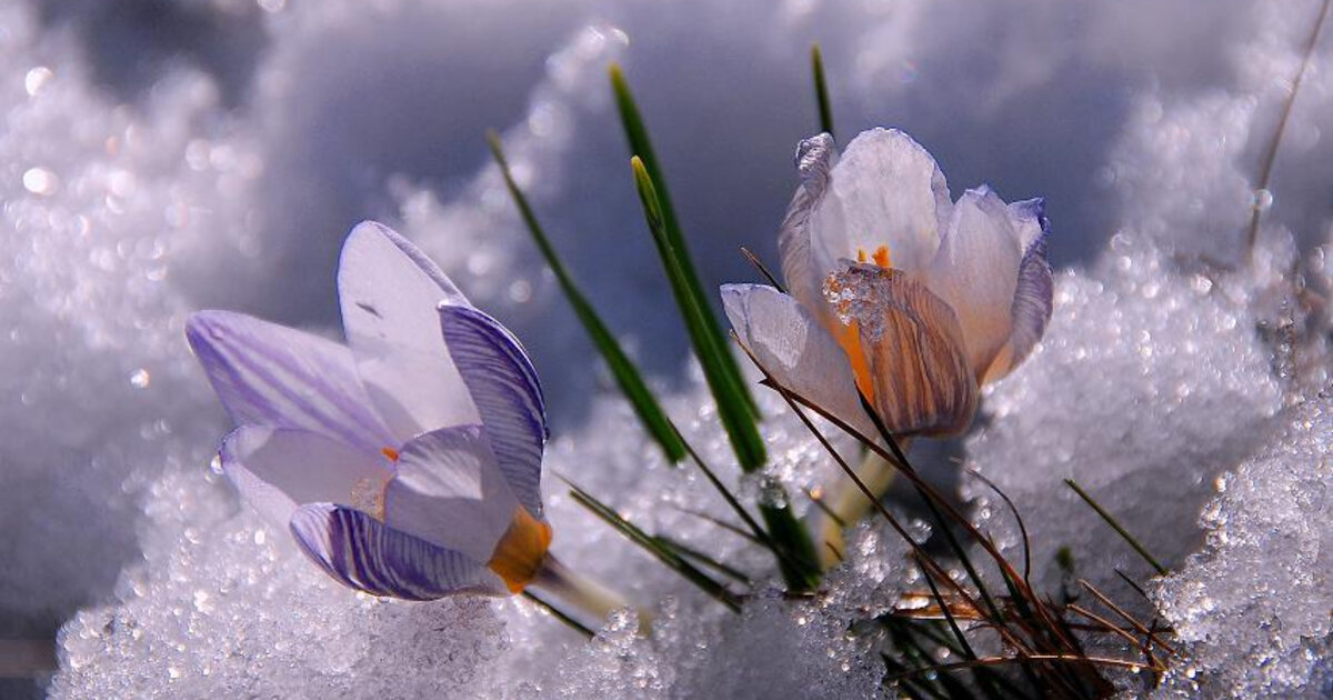 Хрустальная песня