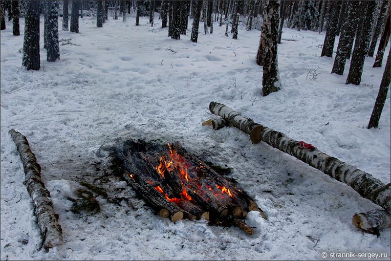 Костер зимой в лесу днем