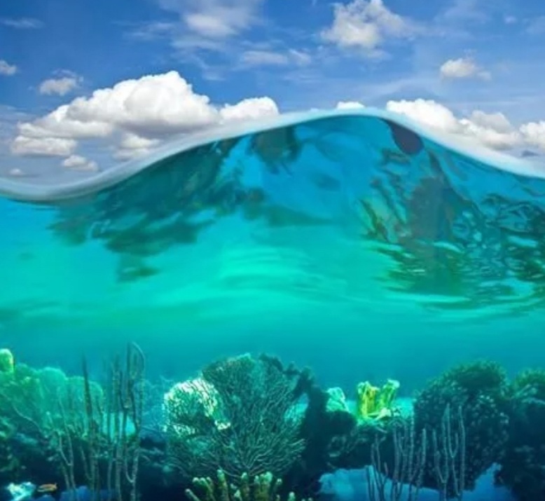 Часть системы