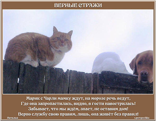 Верные стражи