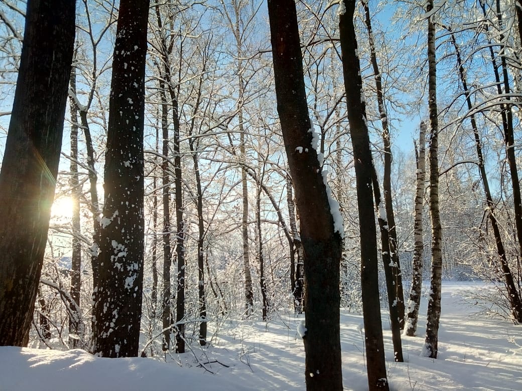 Весны Весны звала природа