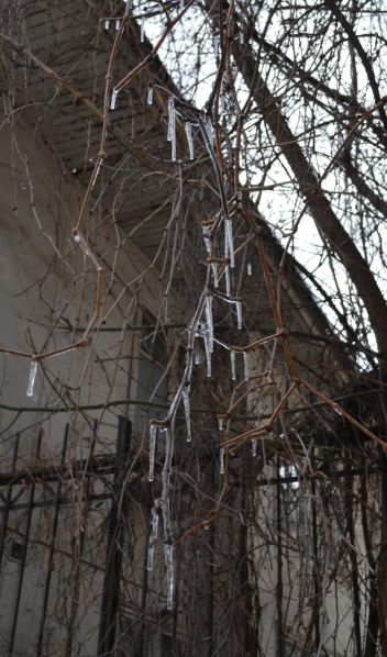 Зарисовка 73