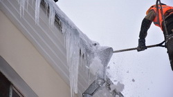 Елена Наильевна. Cладкая зима