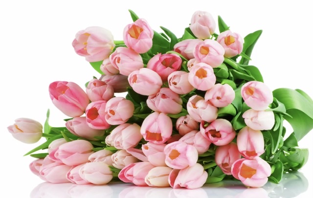 День Афродиты