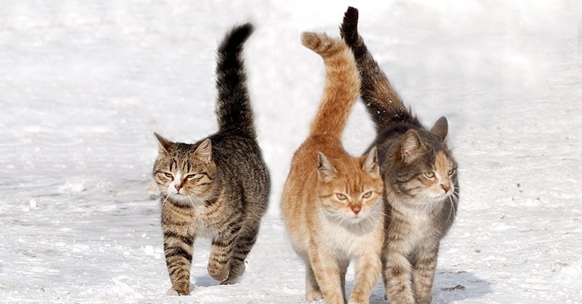 Время любви