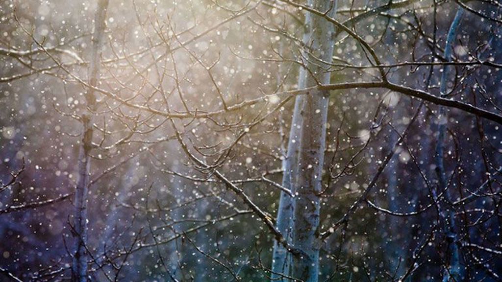 Неужели весна? Людмила Юферова