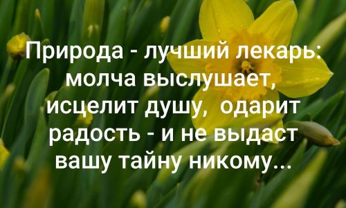 Вельд аргументы к итоговому сочинению Shtampik.com