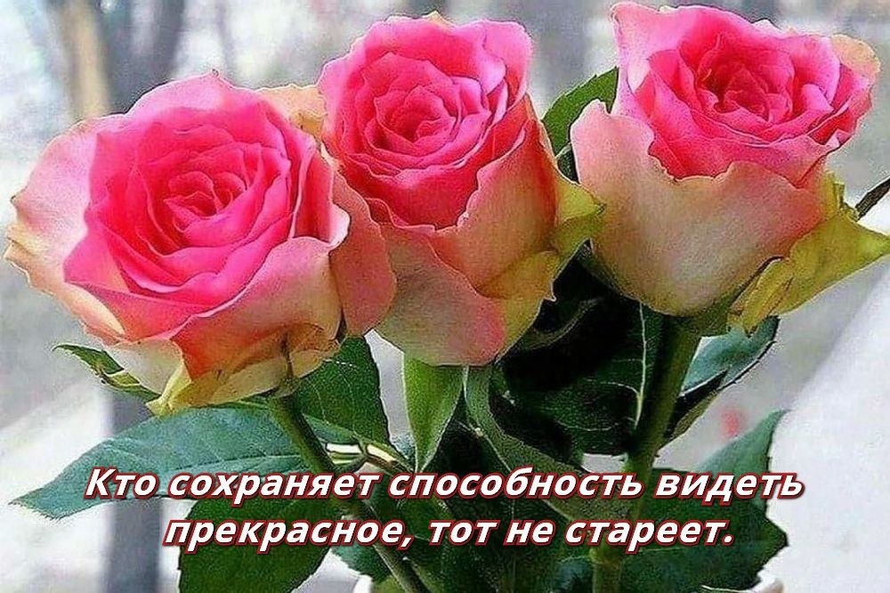 Живые цветы