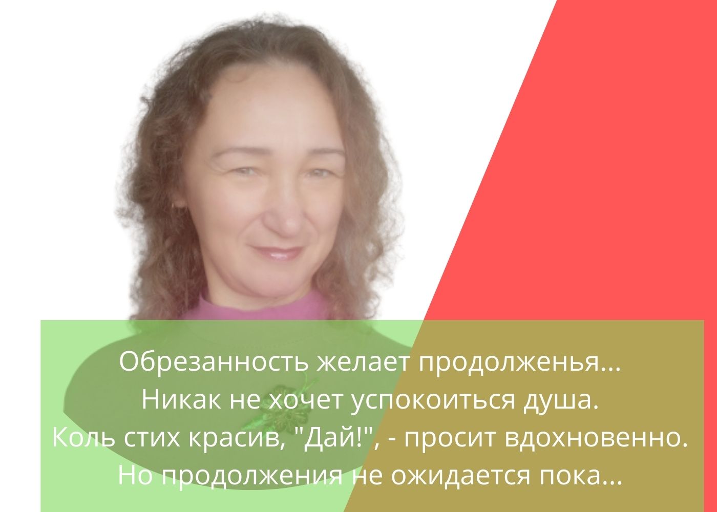 Евгению Снежину - рецензия на стихи