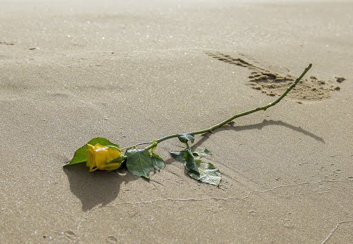 Пятидесятипятилетие