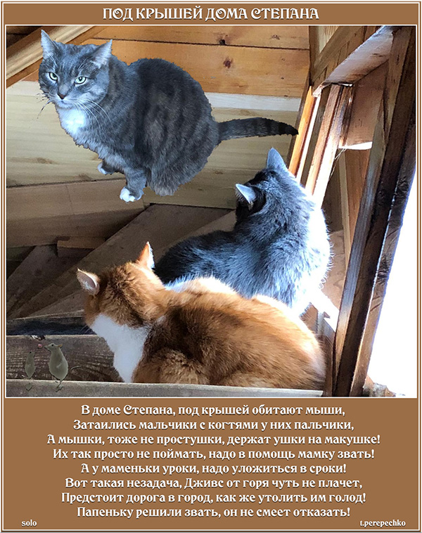 Под крышей дома Степана